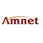 amnet.com.sg