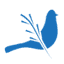 bluebirdhomecare.com