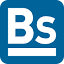 bs-rus.ru