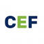 cefconsultant.com