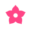 danarbel.com