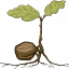 foodforestnursery.com