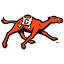 gocamels.com
