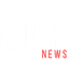 inline4news.com