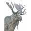 mooseintlgba.org