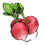 somwintermarket.org
