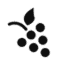 wineindustryinsight.com