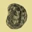 archaeobotany.org