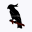 birdwhisperer.com