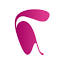 dentalbudget.nl