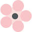 drbrucekehr.com
