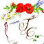 floaredecamp.ro