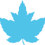 frostedleaf.ca