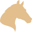 helsinkihorseshow.fi