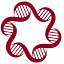 identityendolift.com