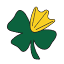luckyduckfoundation.com