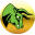 medvedtrader.com
