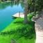 paradisegreens.com
