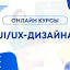 websight.ru