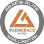 wellingtonjiujitsu.com