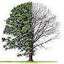 bur-oak-resources.ca