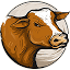 cattletoday.com