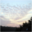 fairsein.org
