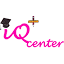 iqplustranslation.com