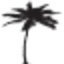 palmtech.net