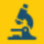 pathkindlabs.com
