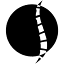 pilatesplusmuenchen.com