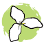trilliummontessori.org