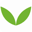 winseed.co.nz