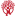 ccdaec.org