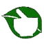 drpaneri.com
