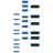 dzb-bank.de