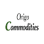 origoindia.com
