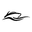 rinkerboats.com