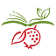 thebiblicalnutritionist.com