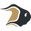 bisontransport.com