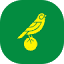 canaries.co.uk
