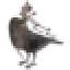 crowsnestretreats.com