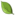 foresttherapyottawa.ca