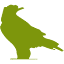 greenriverfestival.com