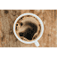 mycoffeecapsules.co.nz