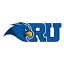 rockhursthawks.com