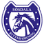sosdalaryttarforening.com