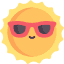 sunnylenses.com