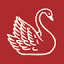 theswan.com.au