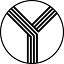 theyoungteam.com